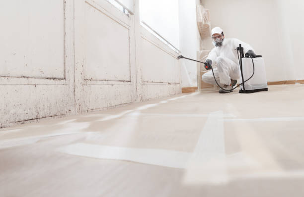 24/7 Emergency Crawl Space Mold Remediation experts in Leonardtown, MD